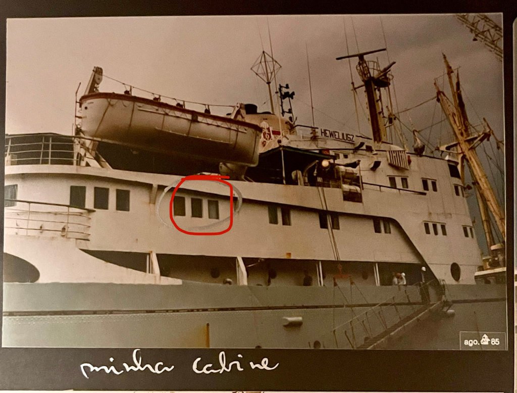 E não é que ela embarcou no navio cargueiro de bananas rumo ao Brasil?! Foi quando conhecemos mais um personagem a bordo dessa aventura!