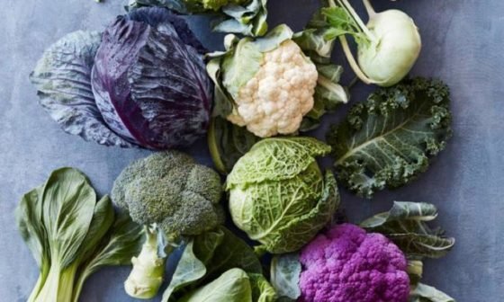 Alimentação vegetariana