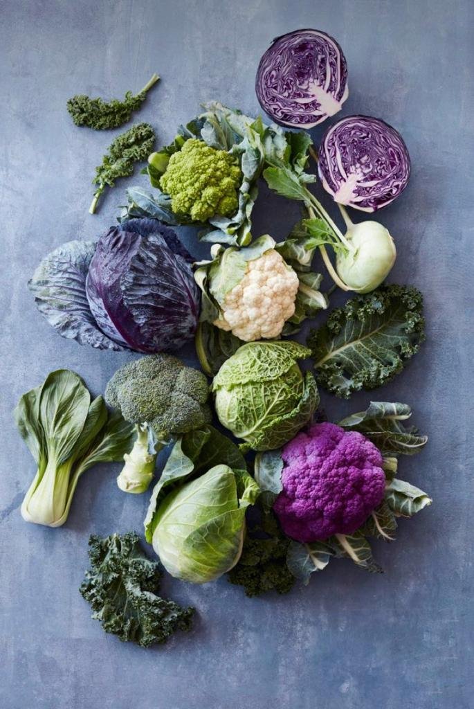 Alimentação vegetariana