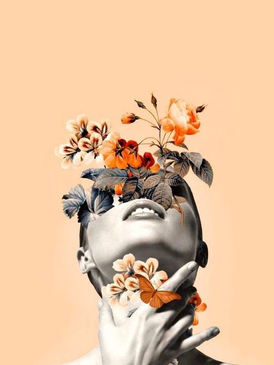 Fundamentos do Prazer