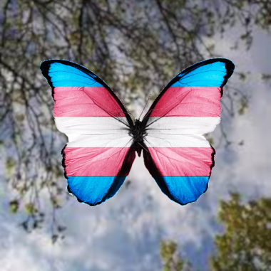 trans-desafio-inconformidades