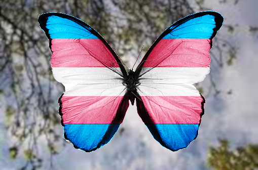 trans-desafio-inconformidades